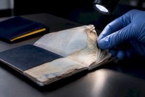 Can’t Reach an Agency? Mutilated Passport Rules for U.S. Travelers